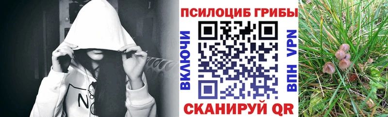 Псилоцибиновые грибы мицелий  как найти закладки  Лесосибирск 